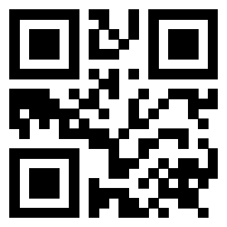 3919233008 Qr Code associato