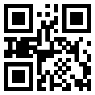 Il Qr Code di 3919233010