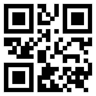 Il QrCode di 3919233013