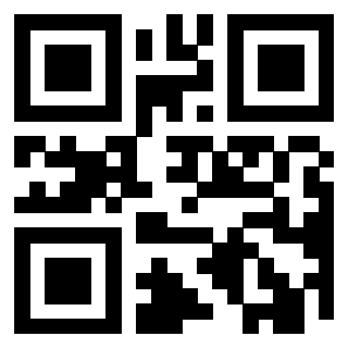 Il Qr Code di 3919233015