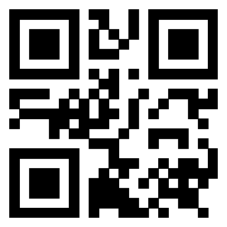 Il Qr Code di 3919233032