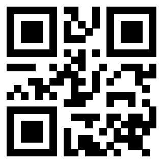 Il Qr Code di 3919233033