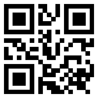 Il Qr Code di 3919233034