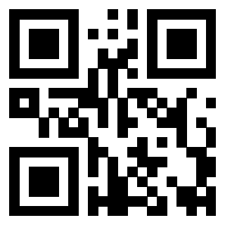 QrCode di 3919233037