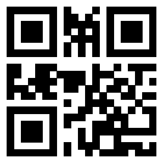 Il Qr Code di 3919233053