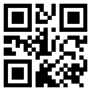 3919233060 QrCode associato