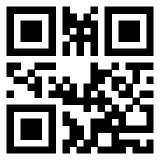 QrCode di 3919233093