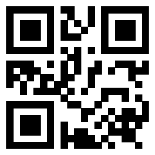 Il Qr Code di 3919233160