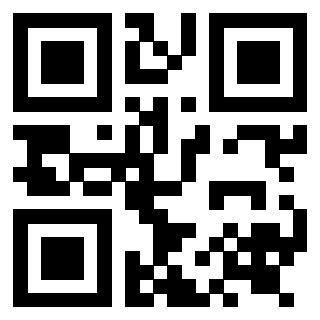 Il Qr Code di 3919233162