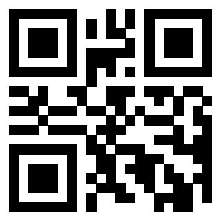 Il Qr Code di 3919233163