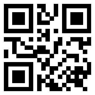 Il Qr Code di 3919233190