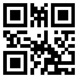Il Qr Code di 3919233277