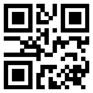 Il QrCode di 3919233282