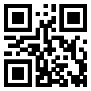 3919233295 QrCode associato