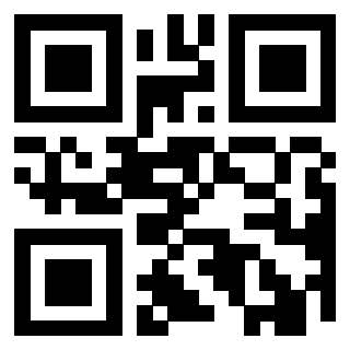 Il Qr Code di 3919233303