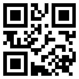 Il Qr Code di 3919233334