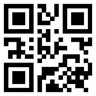 Il Qr Code di 3919233344