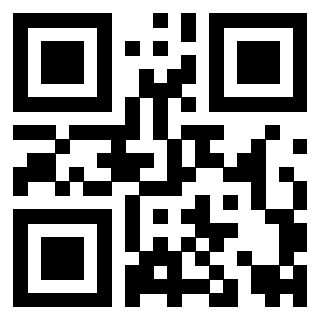 Il Qr Code di 3919233347
