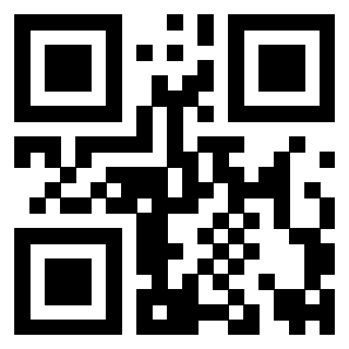 Il Qr Code di 3919233370