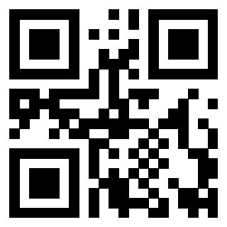 Il Qr Code di 3919233390