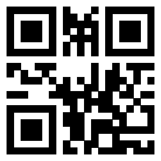 Il Qr Code di 3919233406