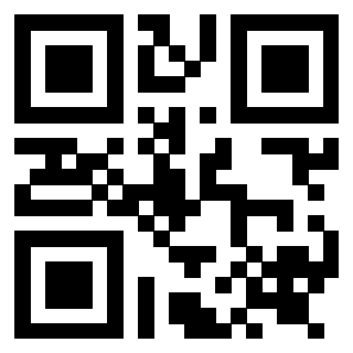 Il Qr Code di 3919233416