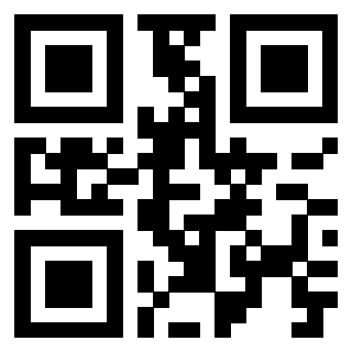 Il Qr Code di 3919233482