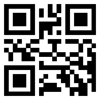 Il Qr Code di 3919233486