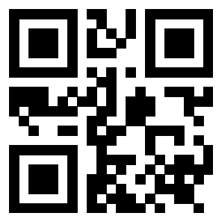 Il Qr Code di 3919233586