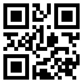 3919233589 QrCode associato