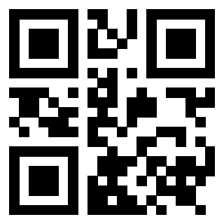 3919233599 Qr Code associato