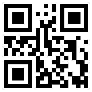 Il Qr Code di 3919233627