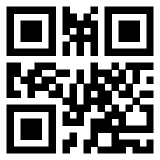Il Qr Code di 3919233643