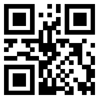 Il Qr Code di 3919233644