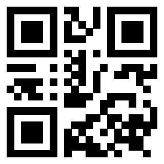 Il Qr Code di 3919233659