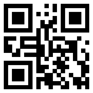 Il Qr Code di 3919233713
