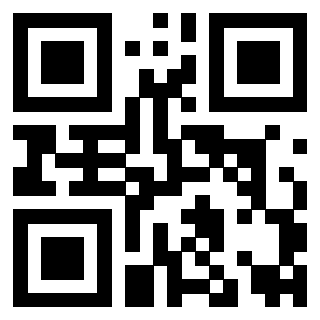 Il Qr Code di 3919262763