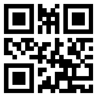 Il Qr Code di 3919262767