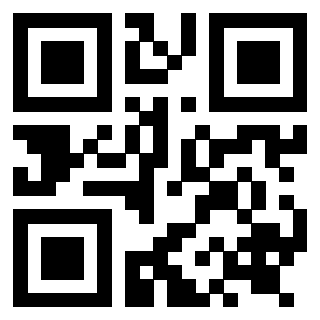 Il Qr Code di 3919262768