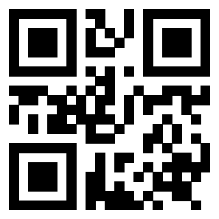 Il Qr Code di 3919262776