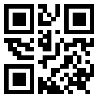 Il Qr Code di 3919262784