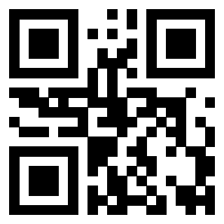 Il Qr Code di 3919262827