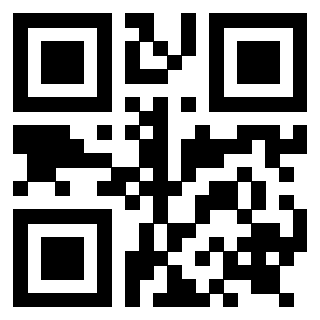 Il Qr Code di 3919262838