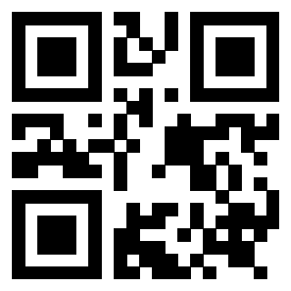 Il Qr Code di 3919262853
