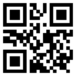Il QrCode di 3919262855