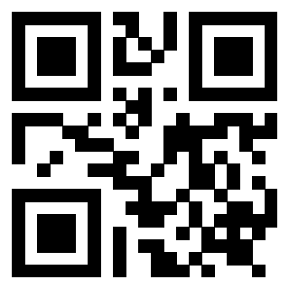 Il QrCode di 3919262871