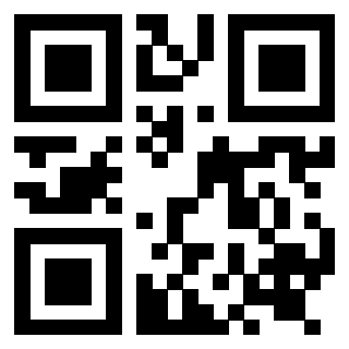 Il Qr Code di 3919262873