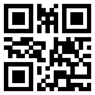 Il Qr Code di 3919262902