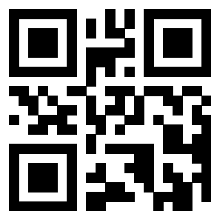 Il Qr Code di 3919262907