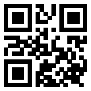Il Qr Code di 3919262908